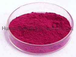 Blueberry Fruit Powder Water Soluble