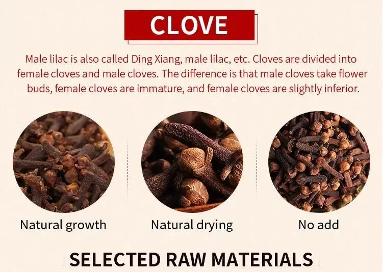 China Supplier Bulk Packaging Food Seasoning Organic Herbs Dried Clove