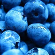 Blueberry Fruit Powder Water Soluble