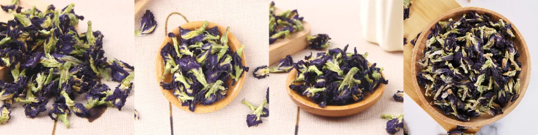 High Quality Organic Butterfly Pea Flower Powder and Butterfly Pea Tea