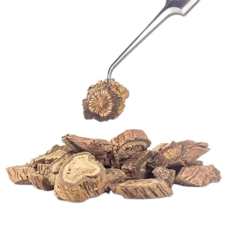 Hot Sale Organic Health Care Herb Dried Teasel Root Radix Dipsaci