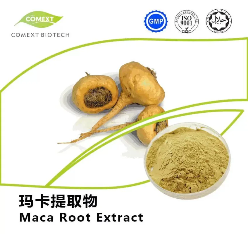 Comext China Manufacturer Free Sample USA Inventory Organic Herbal Root Powder 10: 1 0.6% Macamides Plant Red Black Yellow Maca Extract for Men Sex Function