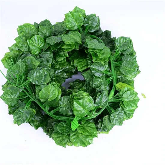 Uspep Nutraceutical Plant Herbal Extract Pulver Ginkgo Biloba Blattextrakt